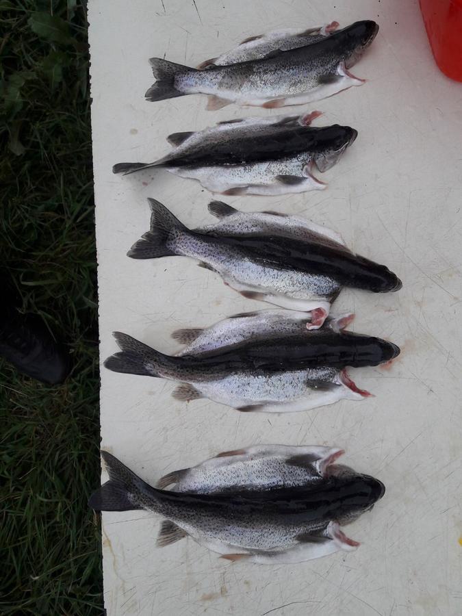 Fish Hotel Akhalkalaki Екстериор снимка
